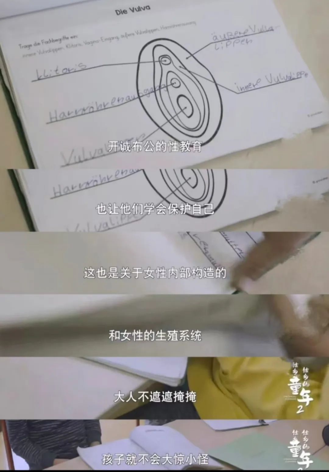 一个残酷的事实：中国本科阶段男女比例是0.58:1，男生逐渐消失  数据 第15张